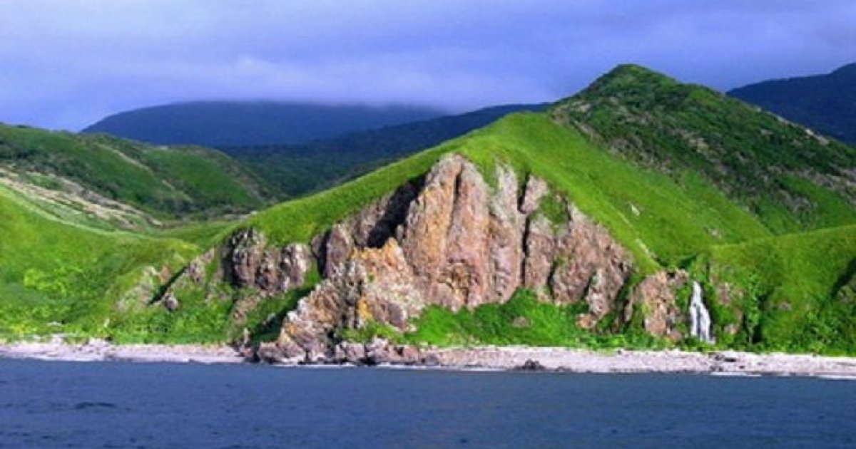 Курильский бобтейл короткохвостый. Пермь курильская. Кунашир маяк. Пермь курильская. Пермь курильская.