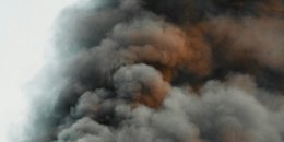 “Бавовна” в Росії 20-21 лютого - останні подробиці