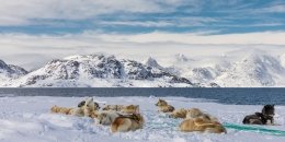 Гренландія