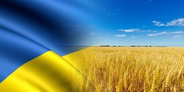 Календар свят на серпень 2026 в Україні: чи будуть додаткові вихідні