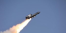 “Flamingo” missile