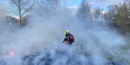 Пожары в экосистемах Украины – какие последствия