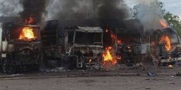 бавовна