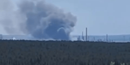 бавовна
