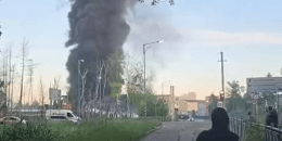 бавовна