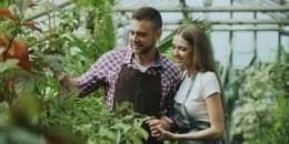 Цветы и подарки в Черновцах: как выбрать