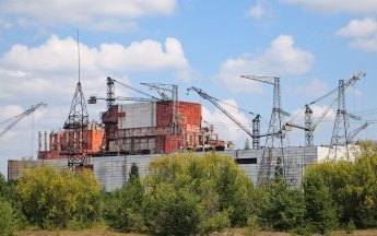 Загадочная плесень превзошла все ожидания