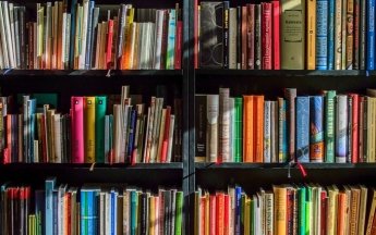 Етюди з натури – 7 книг Форуму видавців, які заслуговують на увагу