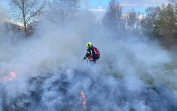 Пожары в экосистемах Украины – какие последствия