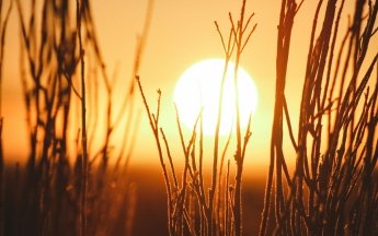 What is happening on the Sun?