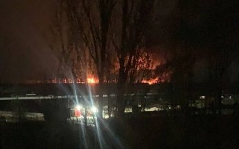 бавовна
