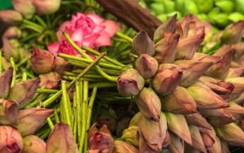 Рік тому у цей час ми були в Індії. Потім зима, локдаун, карантин