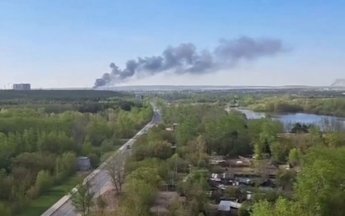 бавовна