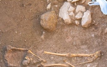 человечество