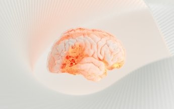 Человеческий мозг мощнее, чем считалось до сих пор