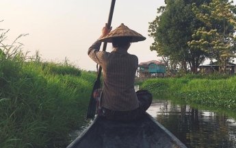 Бирманцы выращивают помидоры прямо в воде