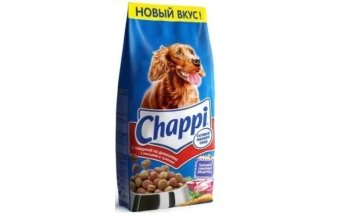 Сухий чи натуральний корм: що краще для собаки