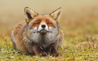 Файні новини: українські дизайнери долучаться до Gucci, Versace та H&M