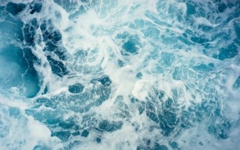 "Золото океану" - чому воно настільки важливе