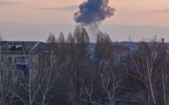 бавовна