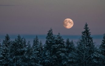 В НАСА призывают не упустить февральское полнолуние