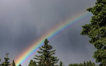 Незабаром в Україні задощить