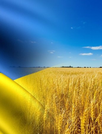 Календар свят на серпень 2026 в Україні: чи будуть додаткові вихідні