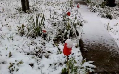 Окупований Крим накрило снігом: опубліковано відео