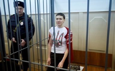 Адвокат Савченко решил задействовать для ее освобождения ООН