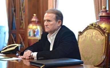 Медведчук зарегистрировал в РФ антиукраинскую организацию "Другая Украина"
