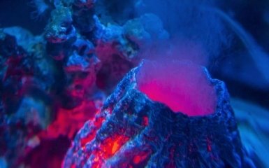Вчені виявили 19 тисяч нових підводних вулканів — фото