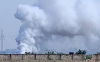 Бавовна у Криму