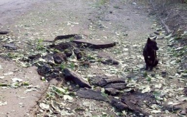 Бойовики ЛНР обстріляли свою територію й звинуватили Україну: з'явилися докази