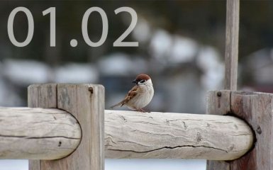 Прогноз погоди в Україні на 1 лютого