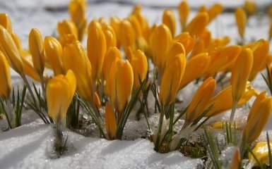 В Украину возвращается зима: в каких областях выпадет снег