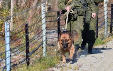 Біля українського кордону в Росії сталося зіткнення з бойовиками, є загиблі