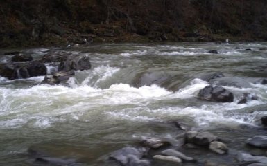 На границе с Венгрией и Польшей откроют новые пункты пропуска