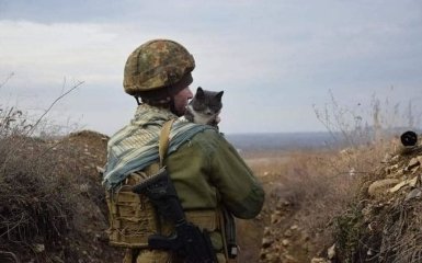 Україна вже звільнила від окупантів 919 населених пунктів