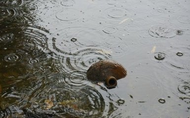 У Греції сталося масштабне затоплення після лісових пожеж