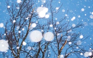 Синоптики озвучили прогноз погоды на Новый Год и Рождество