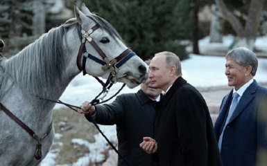 Живий подарунок для Путіна у Киргизстані викликав шквал насмішок у мережі: з'явилися фото