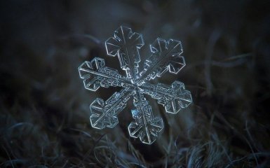 На Прикарпатье выпал первый снег: появились яркие фото и видео