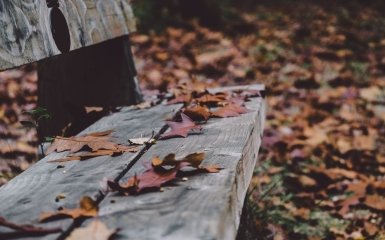 Осень в Украине