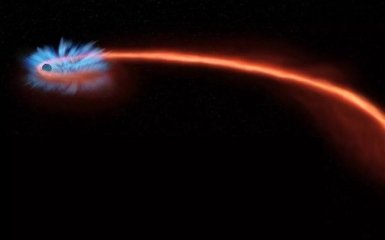 NASA нашло черную дыру-убийцу. Она может разрывать звезды