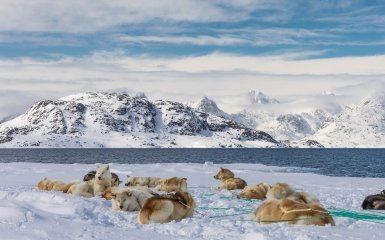 Датские чиновники боятся провала голосования в Сенате