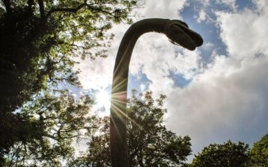 Афера или ошибка: ученые разгадали загадку чудовища Лох-Несс