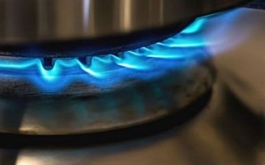 МВФ дав пораду Україні щодо ринку газу
