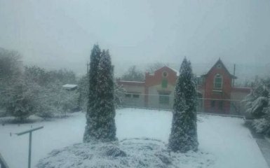 На Харьковщине выпал первый снег: опубликовано видео