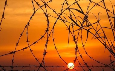 Тюремные бунты в Бразилии: появились новые данные и видео