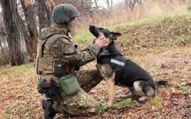 Служит Украине: соцсети восхитили фото известного "бойца" АТО